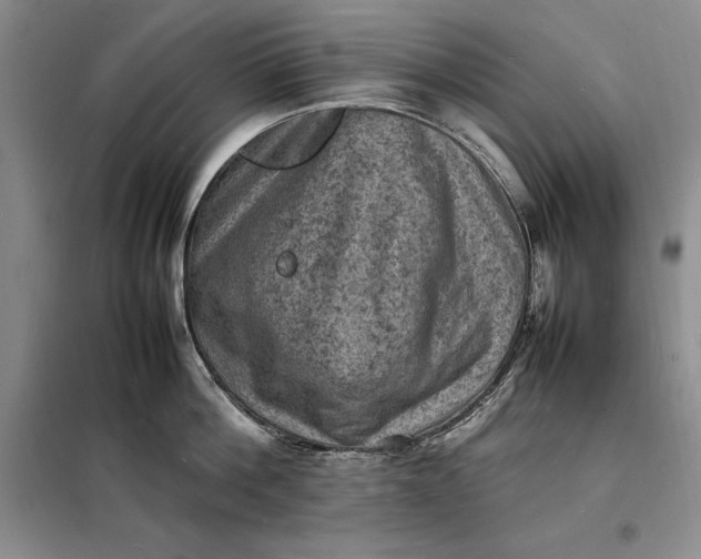 X0000098160812200805011429