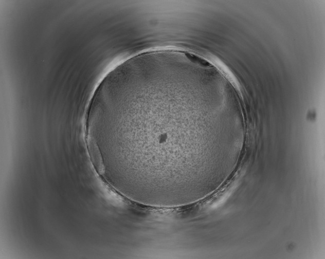 X0000098160813200805011429