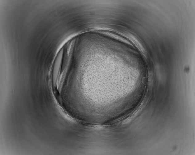 X0000098160814200805011429