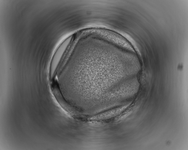 X0000098160815200805011429