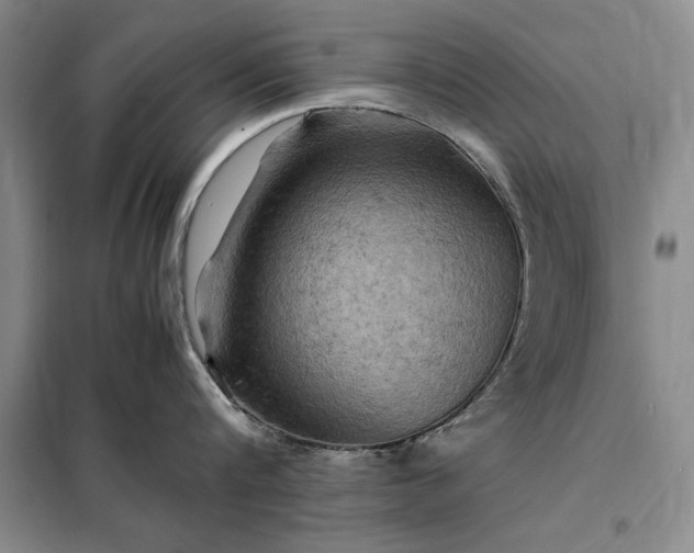 X0000098160816200805011429