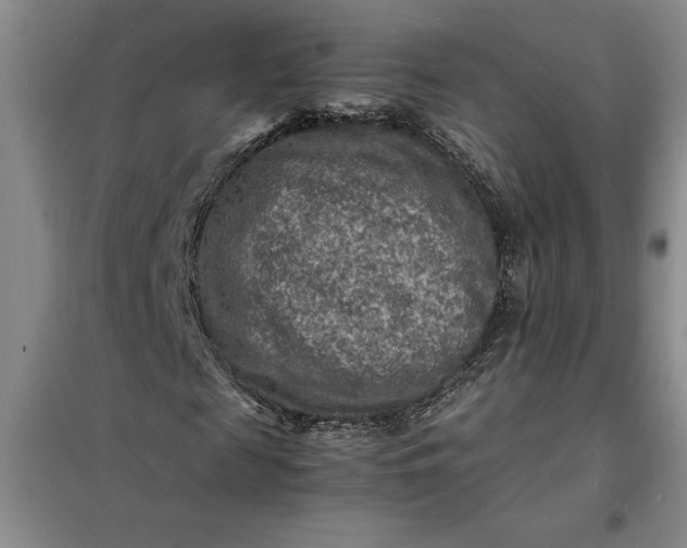 X0000098160817200805011428