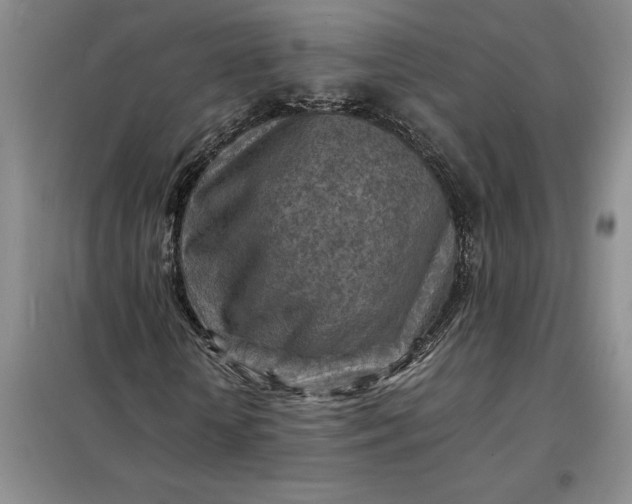 X0000098160818200805011428