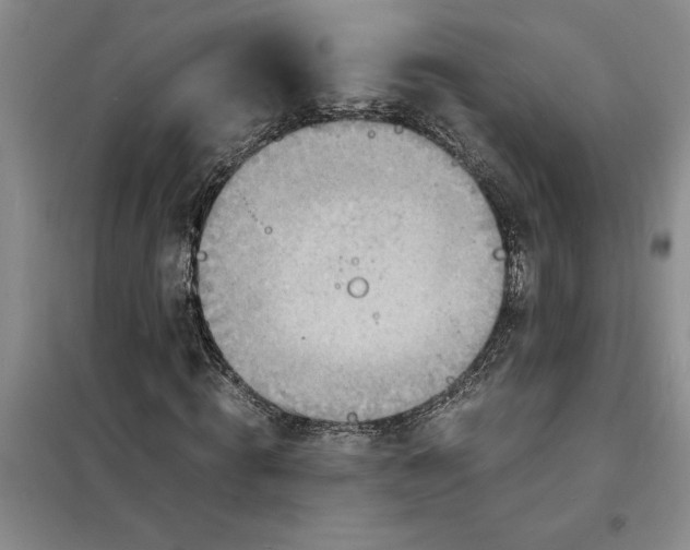 X0000098160820200805011428