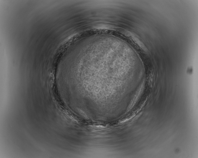 X0000098160821200805011428