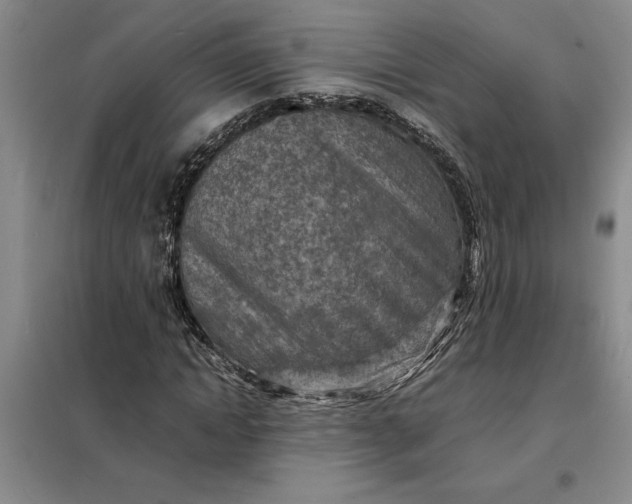 X0000098160822200805011428