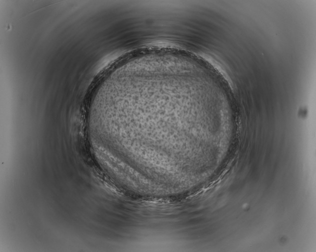 X0000098160823200805011428