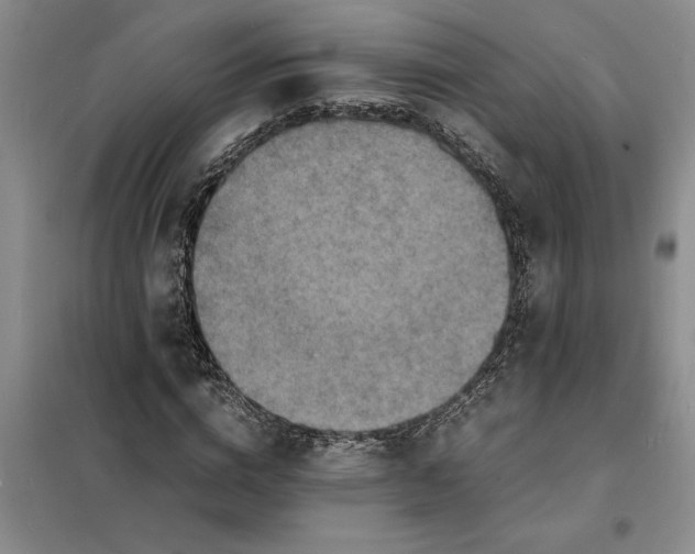 X0000098160824200805011428