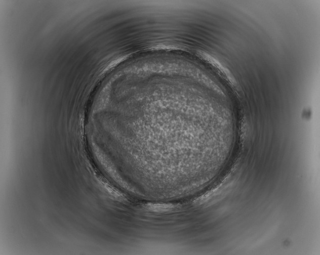 X0000098160825200805011428