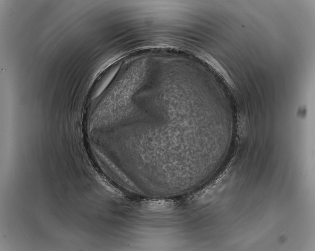 X0000098160826200805011428