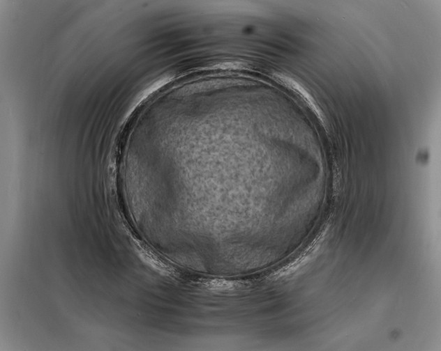 X0000098160827200805011428