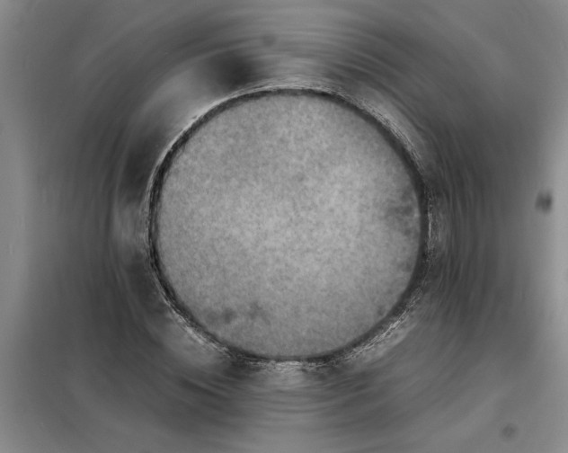 X0000098160828200805011428