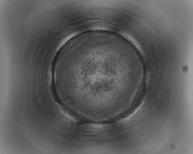 X0000098160829200805011428