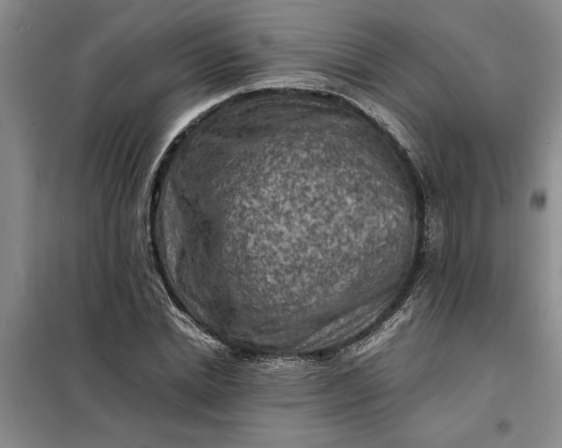 X0000098160830200805011428