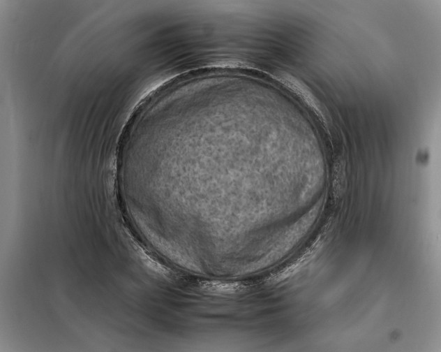 X0000098160831200805011428