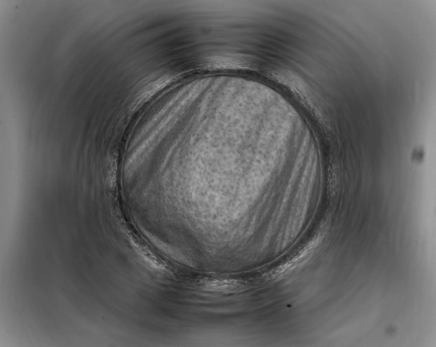 X0000098160833200805011428