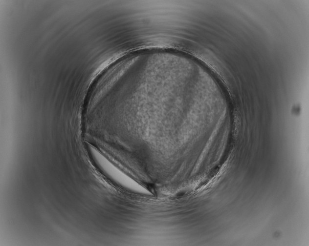 X0000098160834200805011429