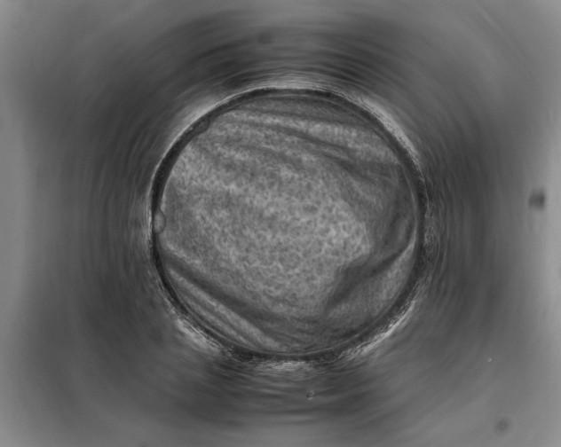 X0000098160837200805011429