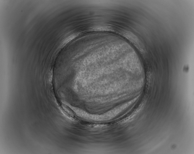 X0000098160841200805011429