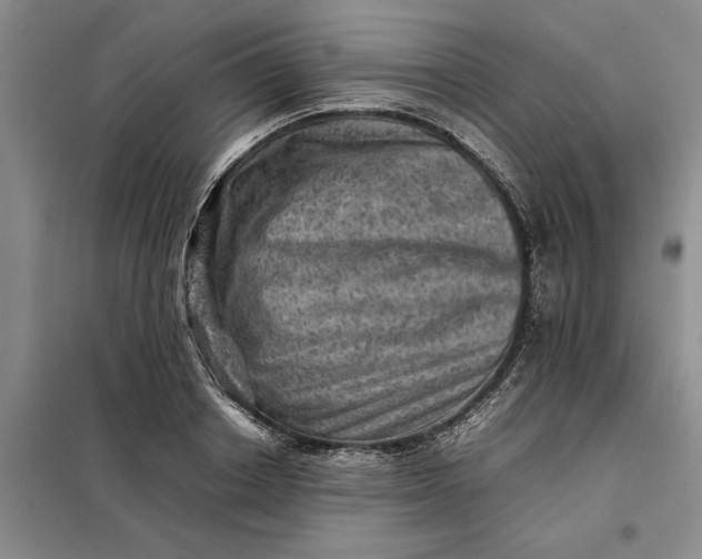 X0000098160842200805011429