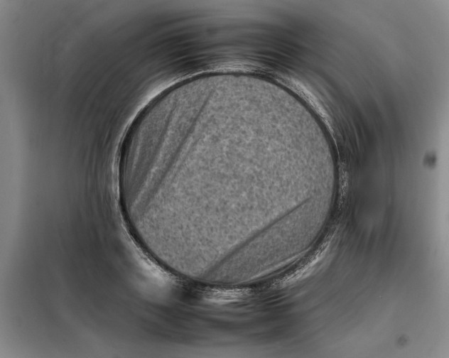X0000098160843200805011429