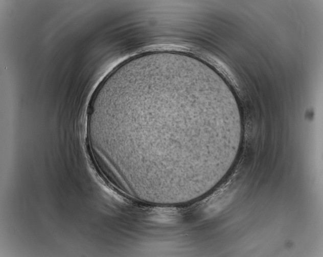 X0000098160844200805011429