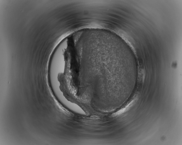 X0000098160845200805011429