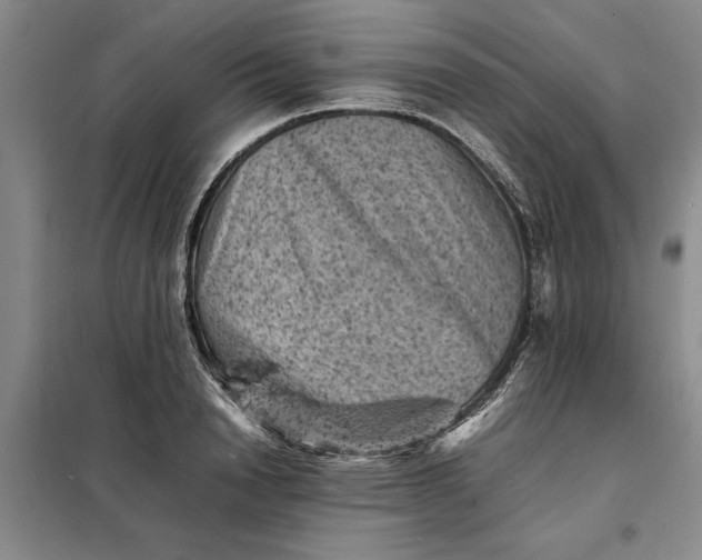 X0000098160846200805011429