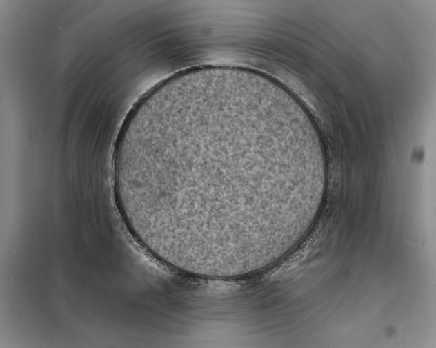 X0000098160848200805011429