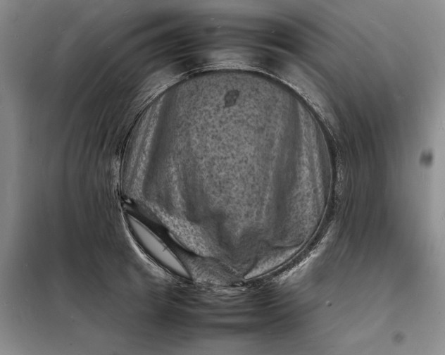 X0000098160849200805011429