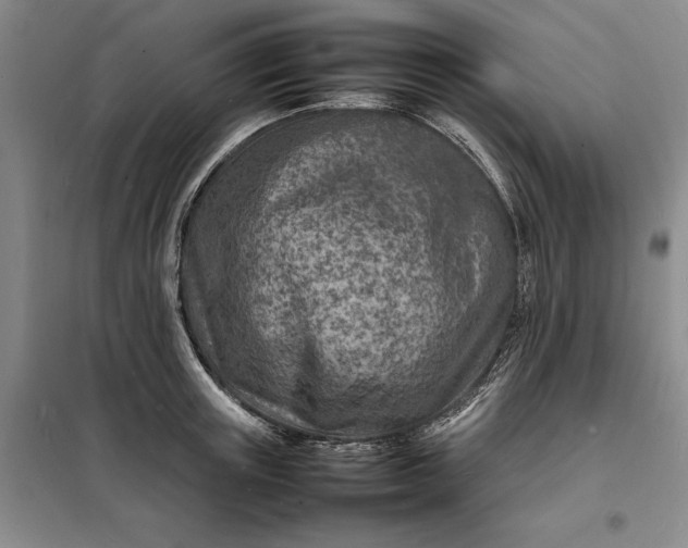 X0000098160851200805011429