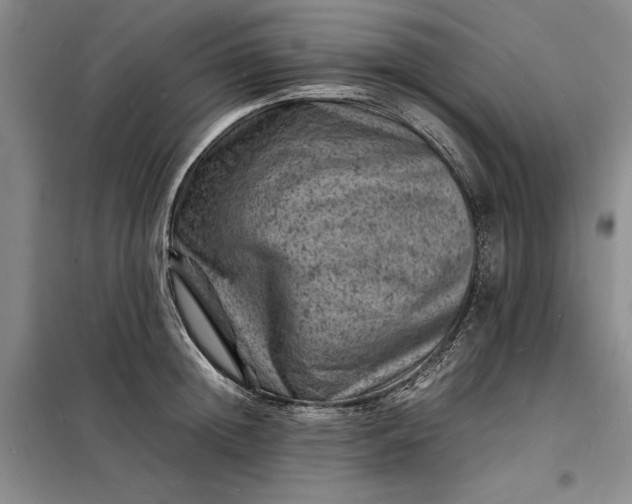 X0000098160852200805011429
