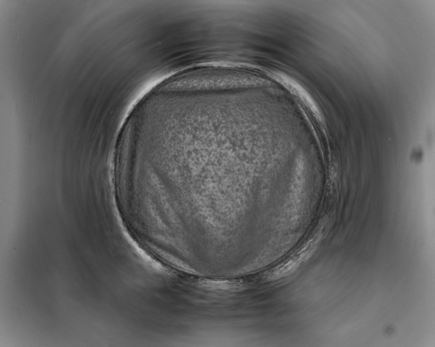 X0000098160855200805011429