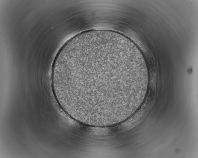 X0000098160856200805011429