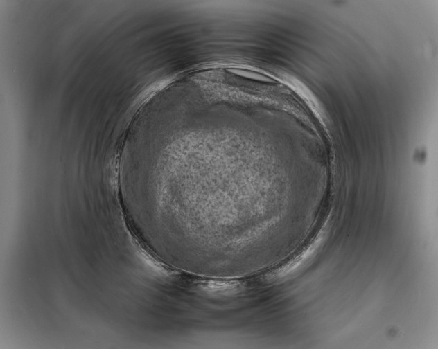 X0000098160857200805011429