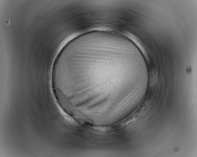 X0000098160861200805011429