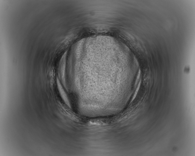 X0000098160866200805011428