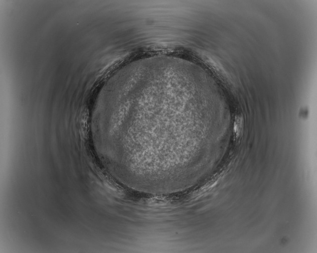 X0000098160867200805011428