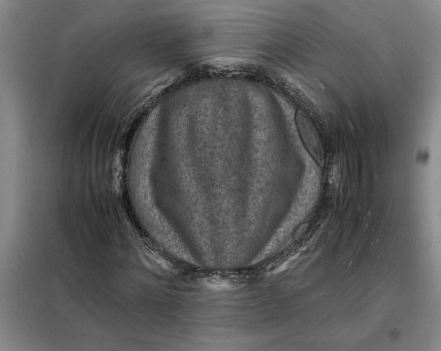 X0000098160868200805011428