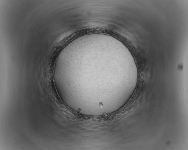 X0000098160869200805011428