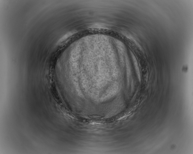 X0000098160870200805011428