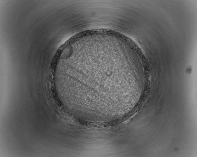 X0000098160871200805011428