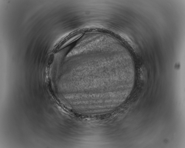 X0000098160872200805011428