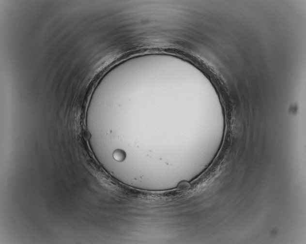 X0000098160873200805011428