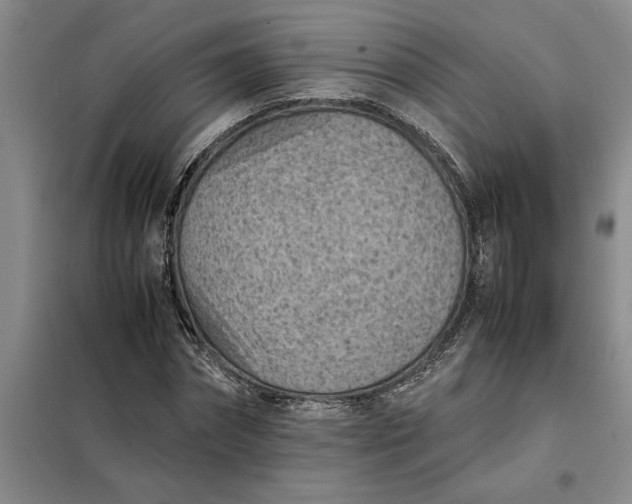 X0000098160874200805011428