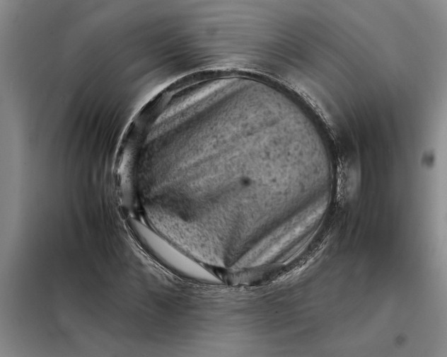 X0000098160876200805011428