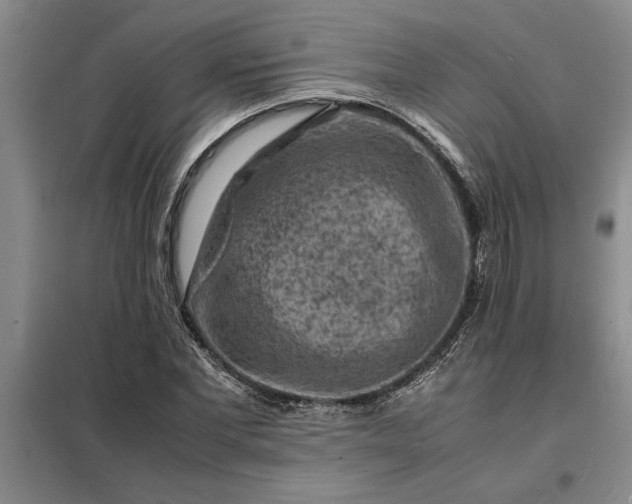 X0000098160877200805011428