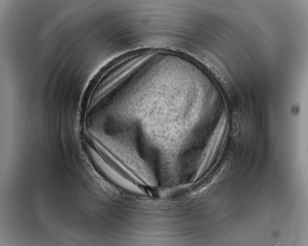 X0000098160880200805011428