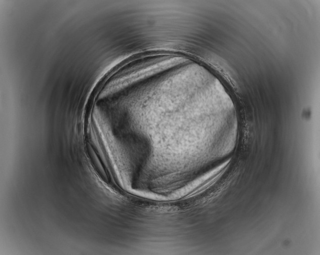 X0000098160884200805011428