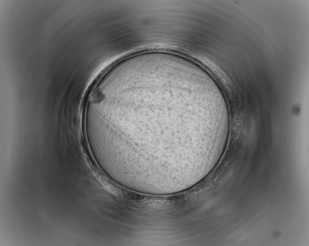 X0000098160886200805011428